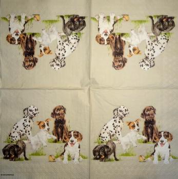 HUN-779 Dogs - 3-ply - Ambiente - CS